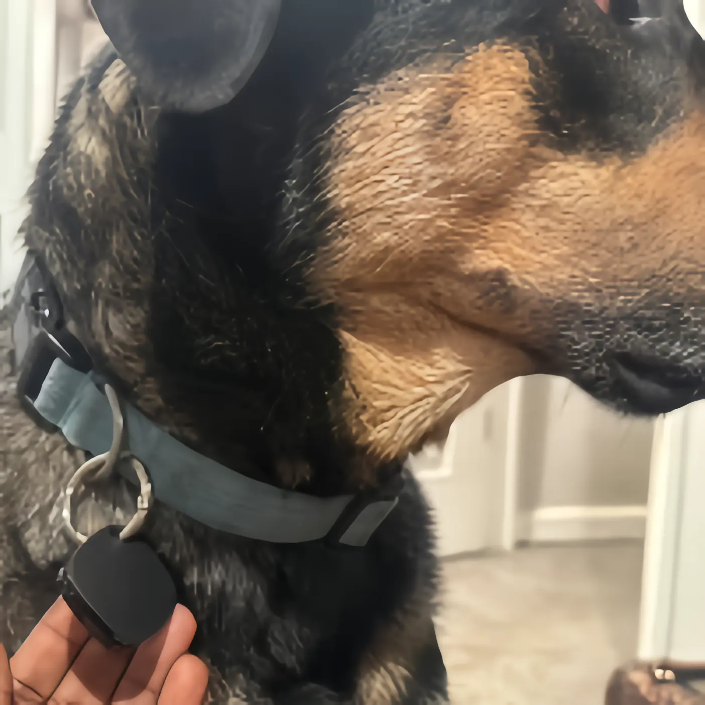 iTagPro reviews user Ryan L.